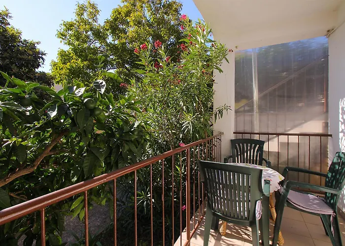 Branka 2411 * Ližnjan